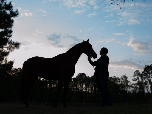 Equine Photography Sunrise with Jill and Diva